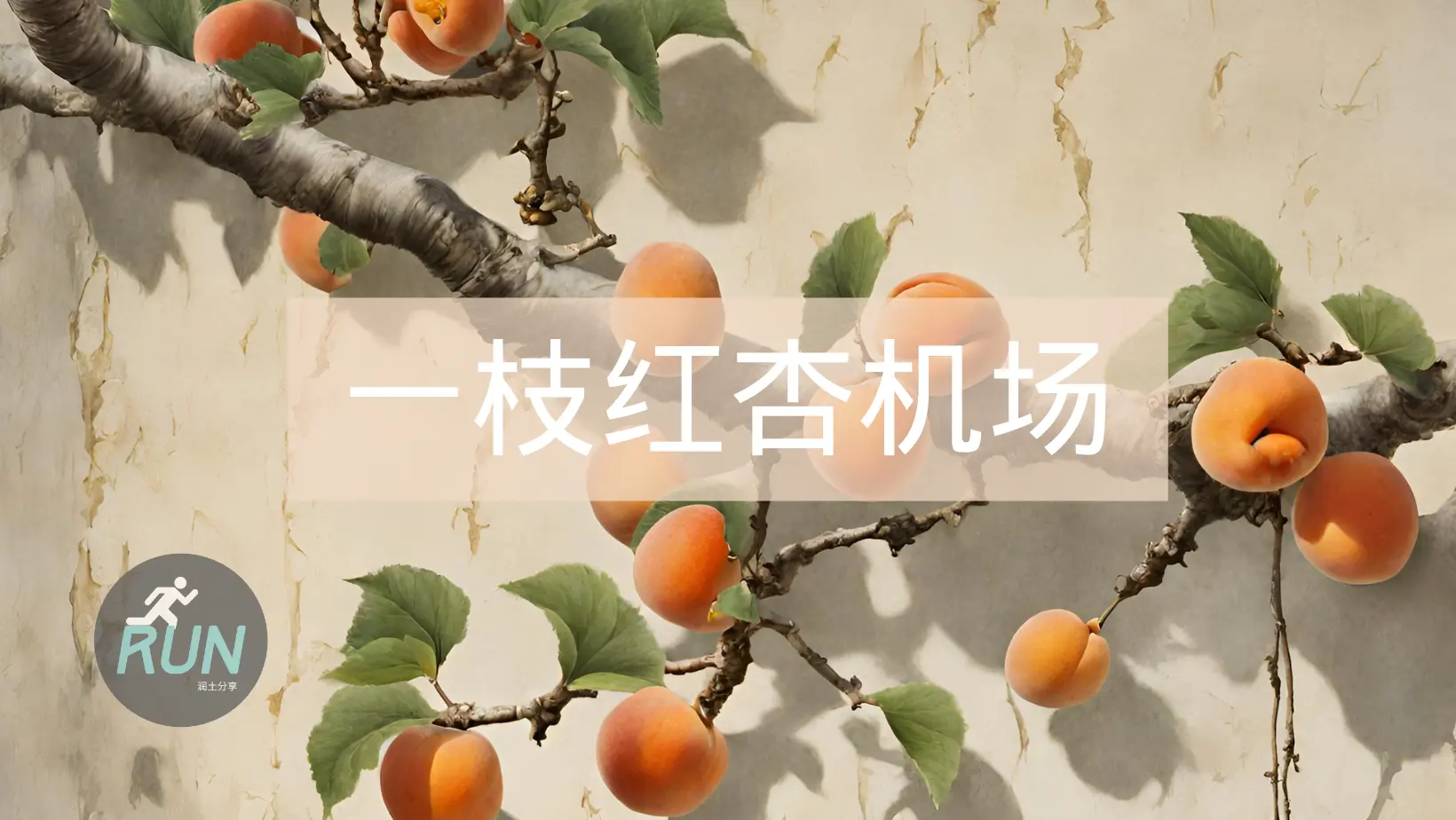 一枝红杏机场