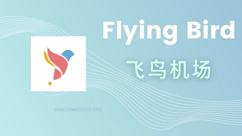 FlyingBird 飞鸟机场官网 FlyingBird 飞鸟机场官网