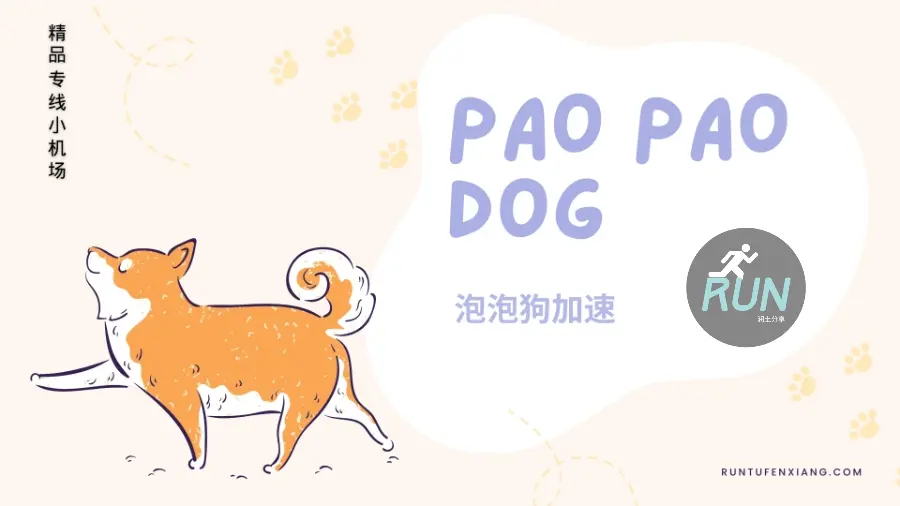 泡泡狗机场 泡泡狗机场