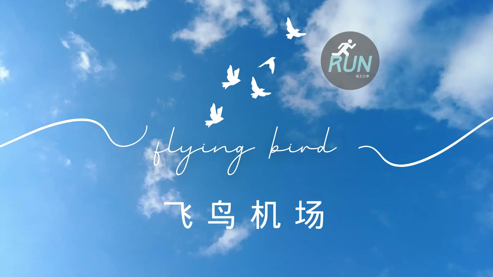 FlyingBird 飞鸟机场官网 FlyingBird-飞鸟机场官网