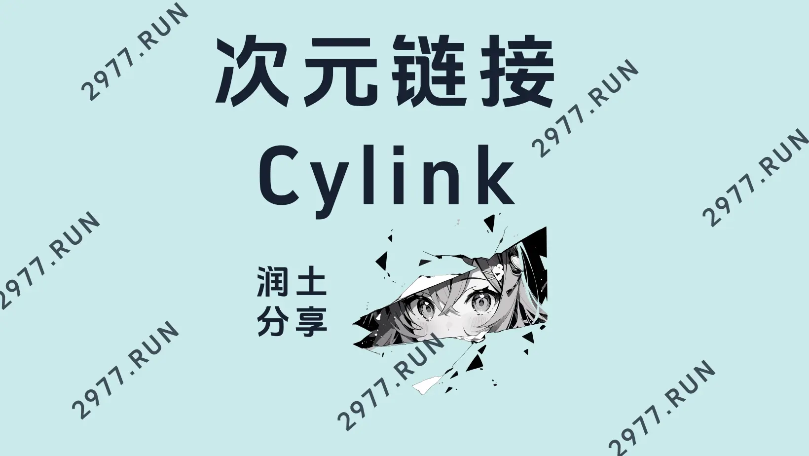 次元链接机场官网 润土分享 次元链接机场官网 润土分享
